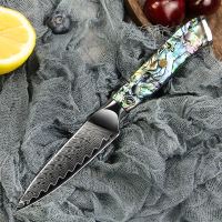 Nůž Paring 9/20cm Damašková ocel 67/příírodní perleť Abalone UG Grill