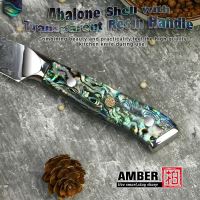 Sada4ks Steak nožů 12,1/23cm Damašková ocel 67/přírodní perleť Abalone UG Grill
