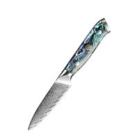 Nůž Paring 9cm Damašková ocel 67/příírodní perleť Abalone UG