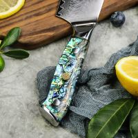 Nůž Chef 20cm Damašková ocel 67/přírodní perleť Abalone UG Grill
