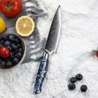 Nůž Utility 13,3/25cm Damašková ocel 67/oceánská modrá pryskyřice UG Grill