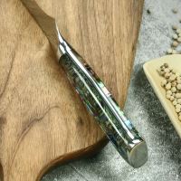 Nůž Paring 9cm Damašková ocel 67/příírodní perleť Abalone UG Grill