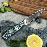 Nůž Paring 9cm Damašková ocel 67/příírodní perleť Abalone UG Grill